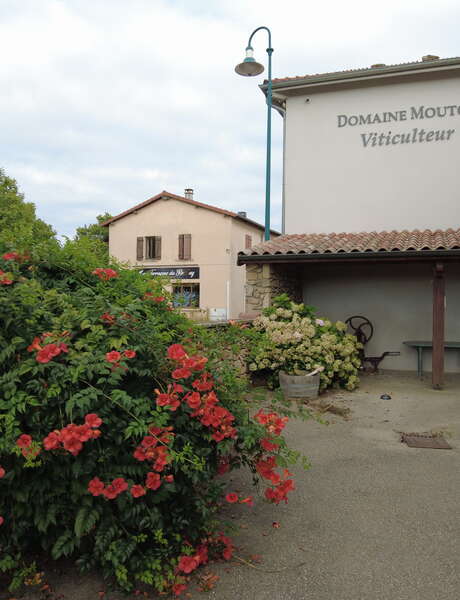 Rando Wine au Domaine Mouton Père et Fils