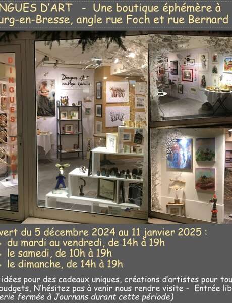 Dingues d'Art - Boutique Éphémère