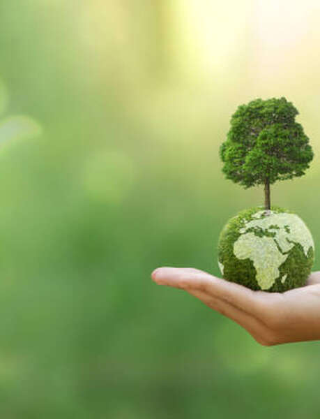 Éveil culturel : L'environnement