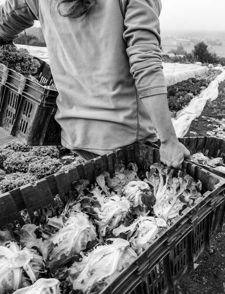 Vernissage de l'exposition "Celles et ceux qui nous nourrissent"