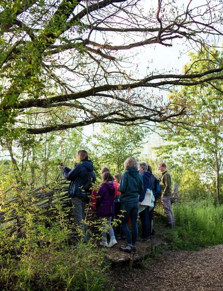 Fête de la Nature | Meet the birds of our mountains