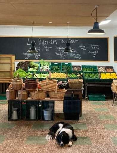Les Pieds dans le Local® ! Visite d'exploitation : Le Jardin du Pré Neuf