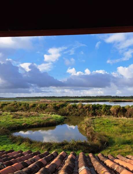 Sortie biodiversité
