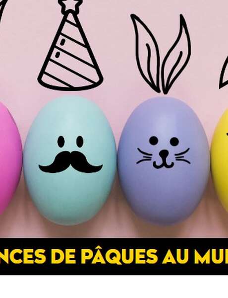 Animation : Les cloches en folie