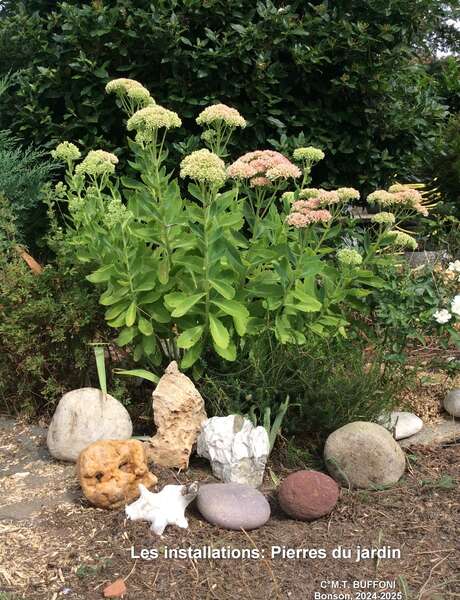 Journées Rendez-vous aux Jardins