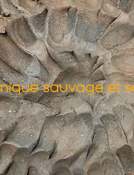 Journées Nationales des Artistes