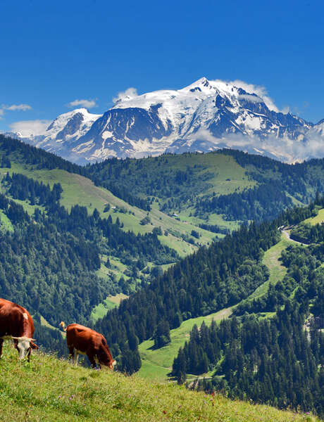 Snack in the mountain pastures, at the Chalet Blanc