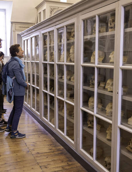 Visite guidée de 45 min à l'Ancienne école de médecine navale Visite guidée de 45 min à l'Ancienne école de médecine navale