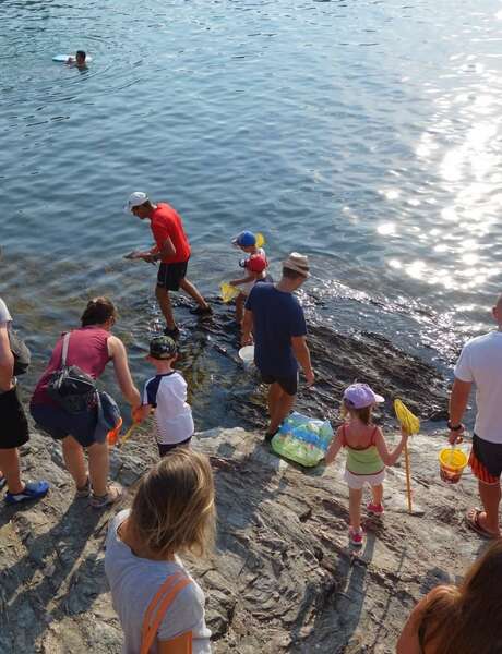 Le petit parcours du littoral (visite guidée spécial enfants) Le petit parcours du littoral (visite guidée spécial enfants)