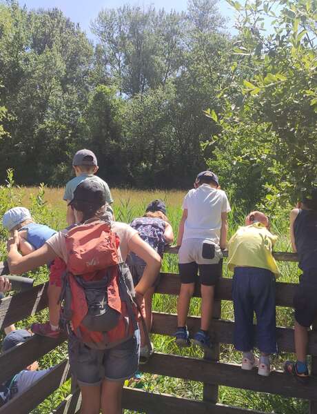 Eveil à la nature pour les tout-petits (3-6 ans)