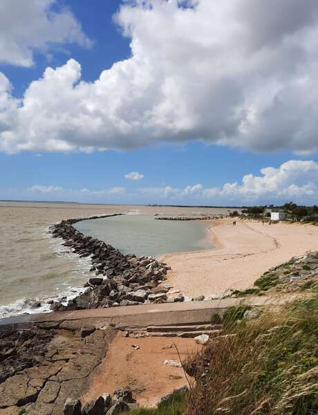 Führung: Entlang der Flussmündung
