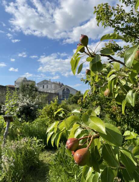 Les Universités de la Biodiversité : A la découverte du Potager du Roy