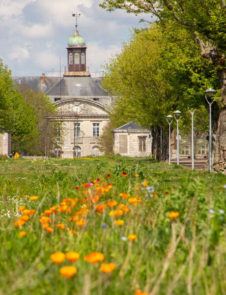 Der Architekturfrühling: Das ehemalige Marinekrankenhaus – auf dem Weg zu einer Wiedergeburt
