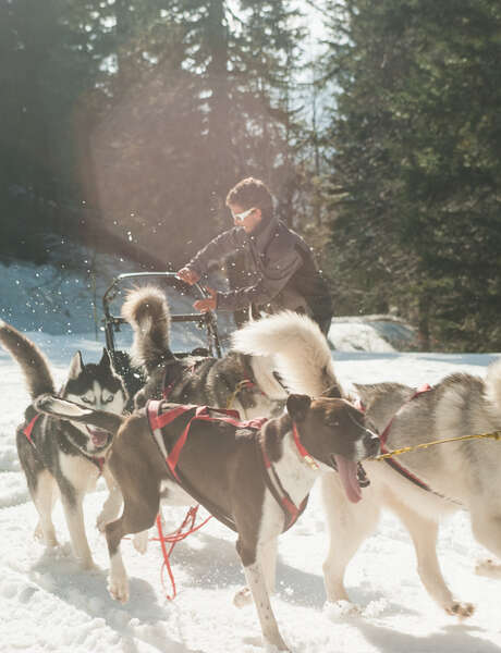 Vorstellung des Berufs des Mushers