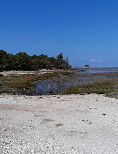 La baie d'Yves au fil des Temps - Le Magnou entre terre et Mer