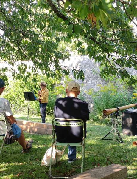 Lektüre im Gemüsegarten