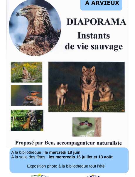 Diaporama - conférence "Instants de vie sauvage" Diaporama - conférence "Instants de vie sauvage"