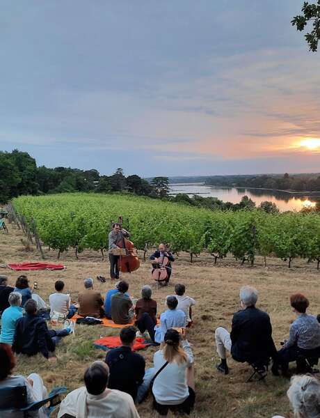 Musique dans les vignes Musique dans les vignes