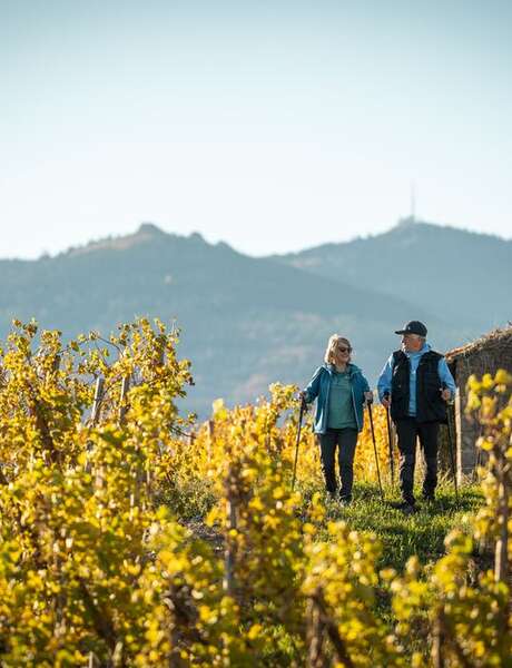 Rando Wine at Domaine Anthony Paret