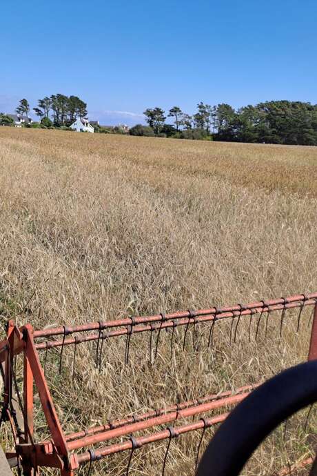 Visite de la ferme chez Maria et Joachim
