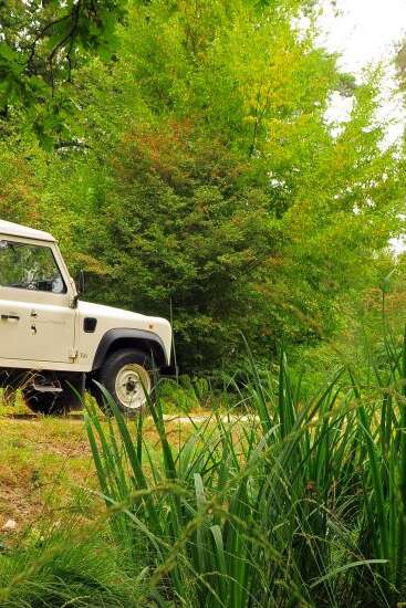 Visite du parc forestier en 4x4 Du 1/1/2024 au 31/12/2025