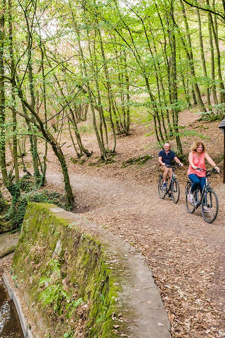 A la découverte du parc naturel des Hauts-Pays