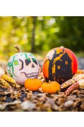 Halloween à la Bibliothèque du Génie