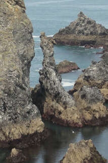 Sortie nature : Homme et Nature aux Aiguilles de Port Coton