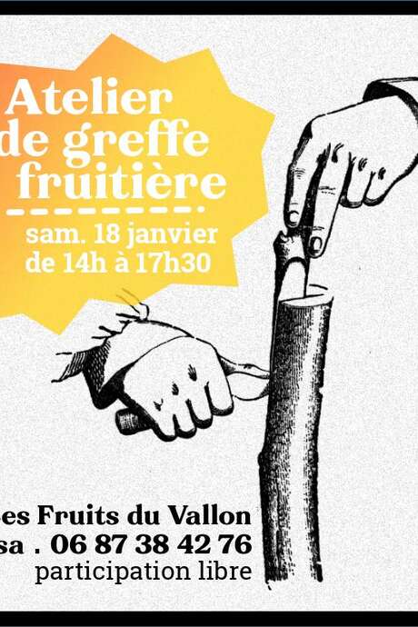 Atelier de greffe fruitière