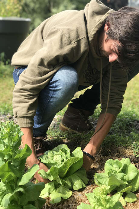 Autour de la permaculture Autour de la permaculture