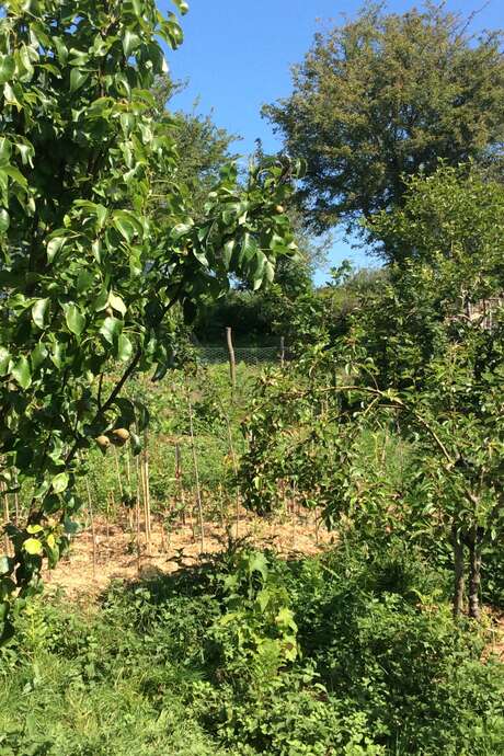 Bienvenue dans mon jardin au naturel