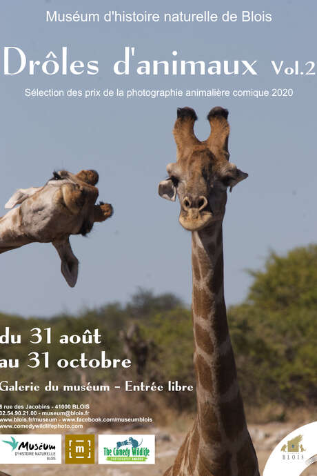 Drôle d'animaux Vol.2 Drôle d'animaux Vol.2