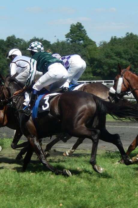 COURSES DE TROT/GALOP À L'HIPPODROME DE CASTÉRA-VERDUZAN