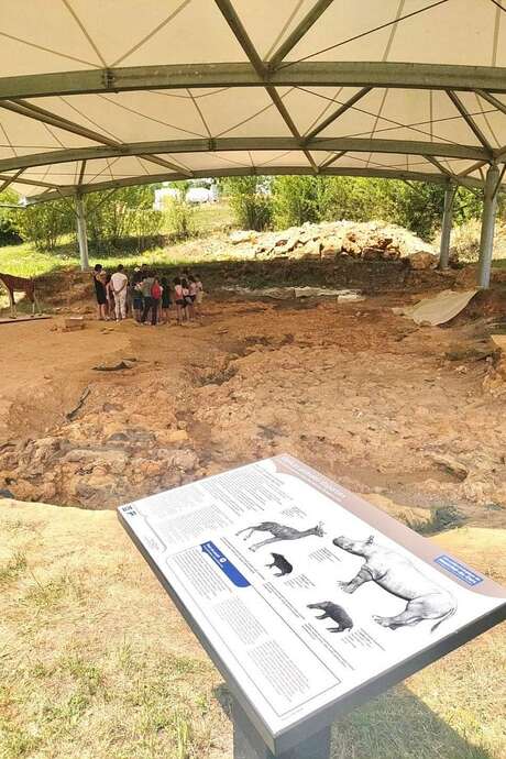 VISITES GUIDÉES DU SITE PALÉONTOLOGIQUE DE BÉON