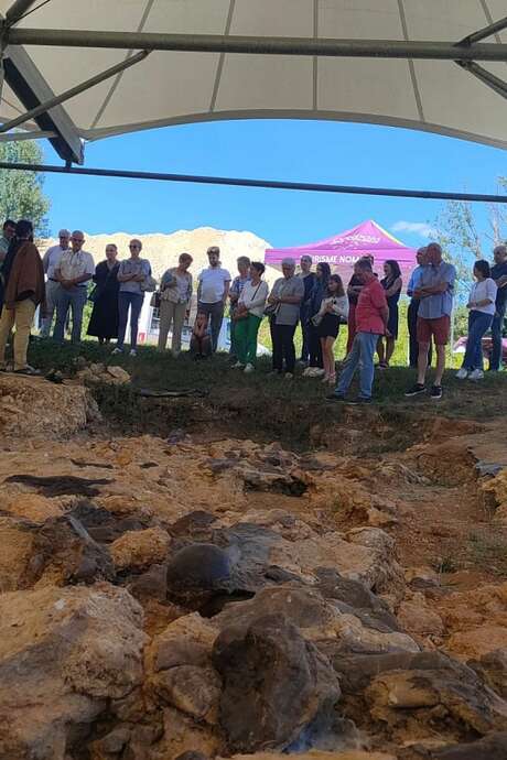 VISITE GUIDÉE DU SITE PALÉONTOLOGIQUE DE BÉON
