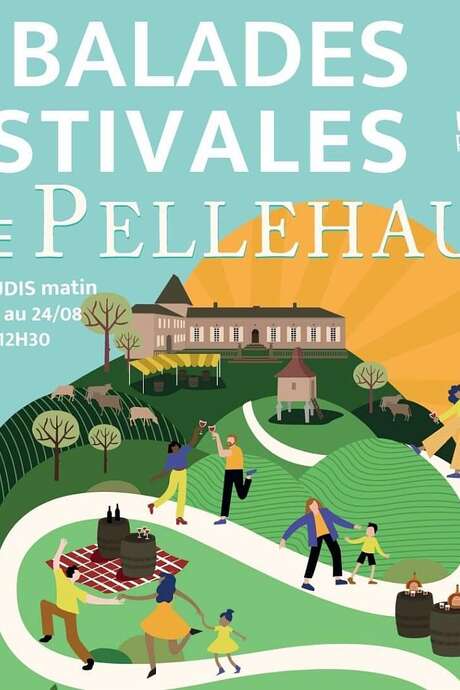 BALADE DANS LES VIGNES ET DÉGUSTATIONS AU DOMAINE DE PELLEHAUT