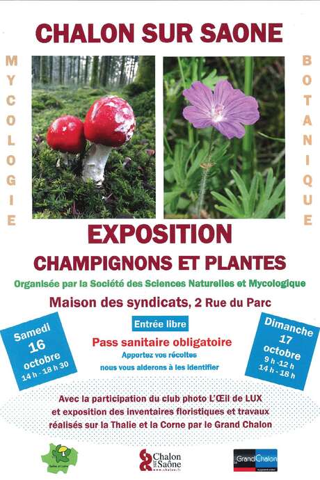 Exposition Champignons et Plantes Exposition Champignons et Plantes