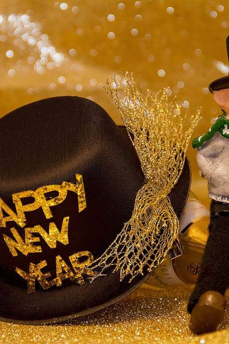 Dîner gourmand et animations