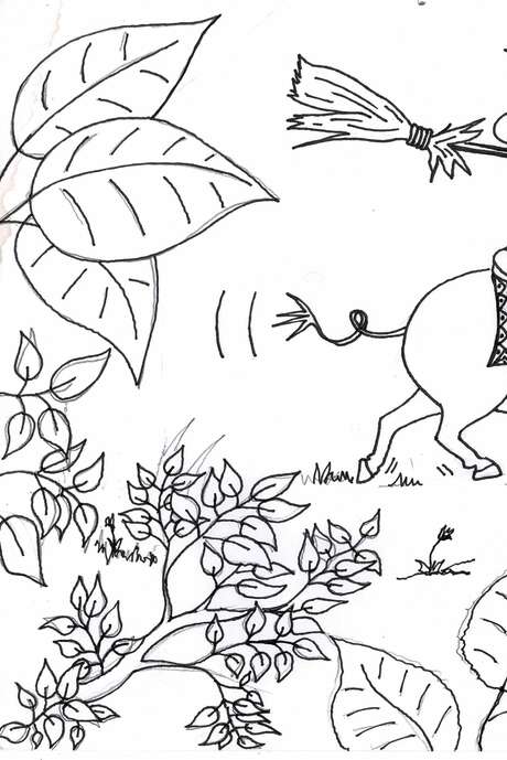 Atelier dessin et infographie