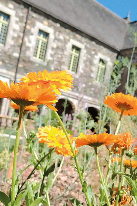 Création d’un baume