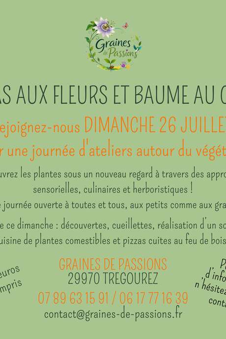 Pizzas aux fleurs et baume au coeur: graines de passions