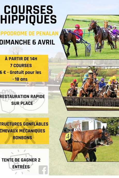 Courses hippiques