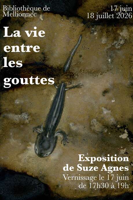 "La vie entre les gouttes"
