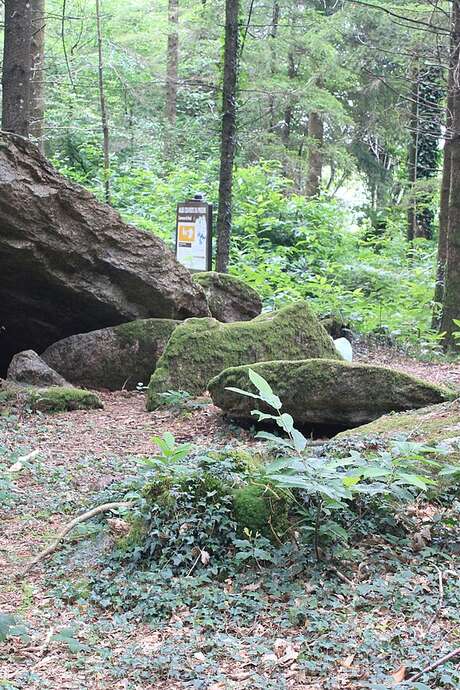 Les Flâneries baldiviennes : L’allée couverte du Prieuré