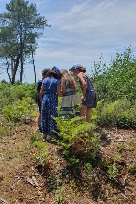 Dans la peau d'un scientifique dans la Lande du Crano