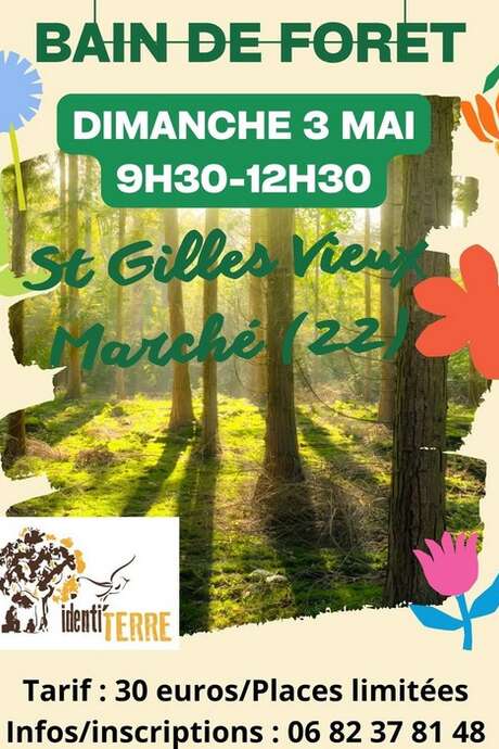 Sortie Sylvothérapie Bains de nature