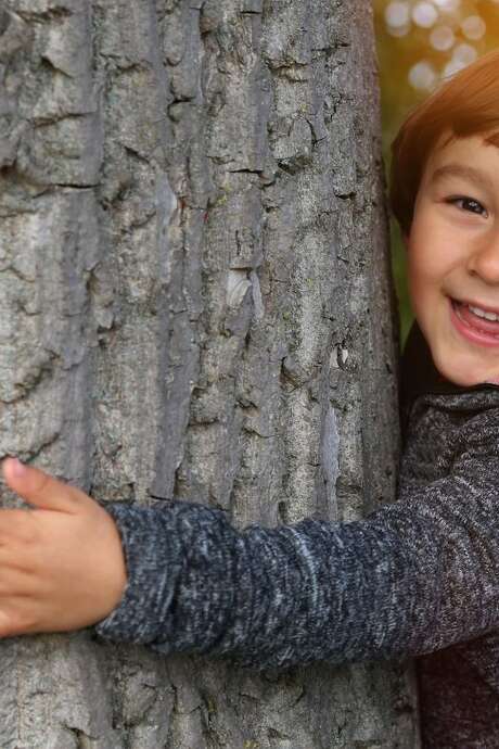 Atelier nature : les arbres au cœur de la nature