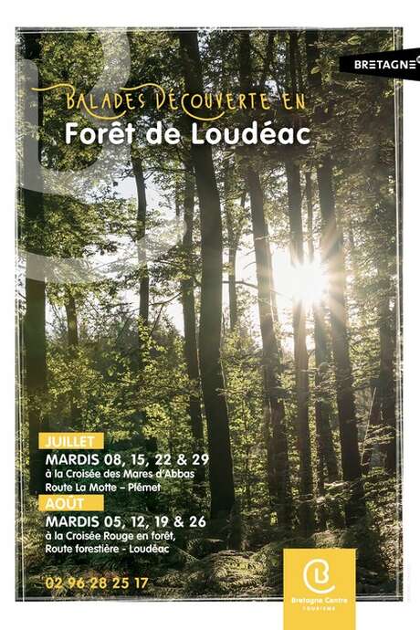 Balade découverte en forêt de Loudéac