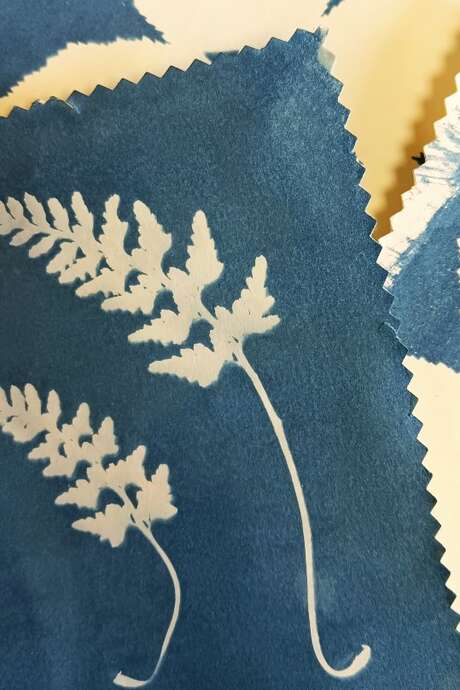Atelier cyanotype
