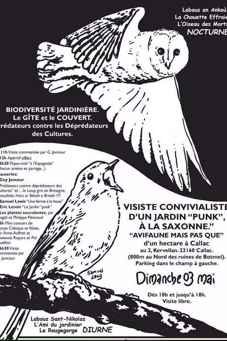 Visite convivialiste d'un jardin "punk" à la saxonne